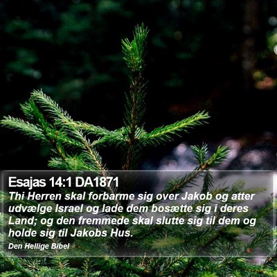 Esajas 14:1 DA1871 Bible Verse Image