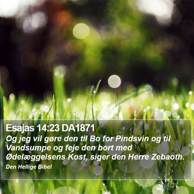 Esajas 14:23 DA1871 Bible Verse Image