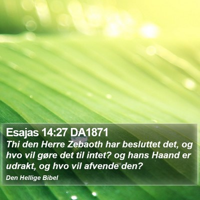 Esajas 14:27 DA1871 Bible Verse Image