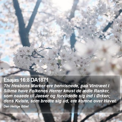 Esajas 16:8 DA1871 Bible Verse Image