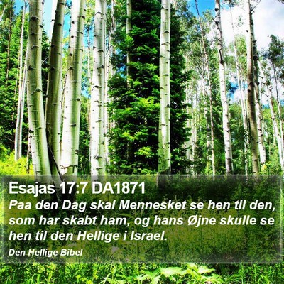 Esajas 17:7 DA1871 Bible Verse Image
