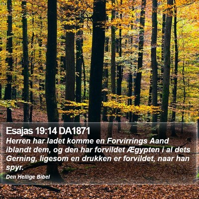 Esajas 19:14 DA1871 Bible Verse Image