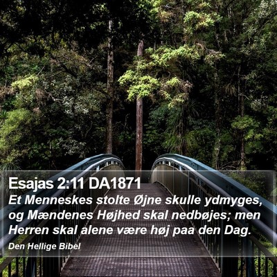 Esajas 2:11 DA1871 Bible Verse Image