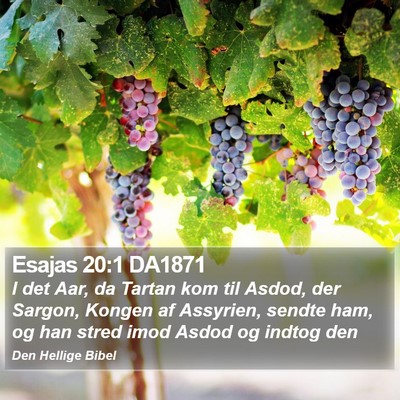 Esajas 20:1 DA1871 Bible Verse Image