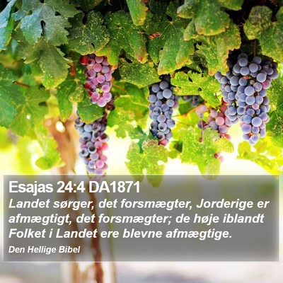Esajas 24:4 DA1871 Bible Verse Image