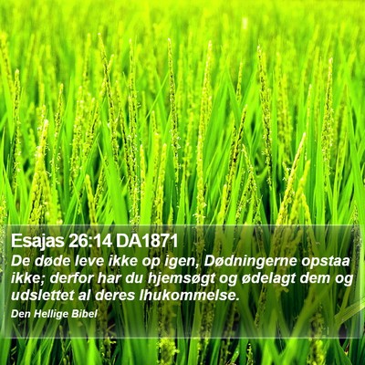 Esajas 26:14 DA1871 Bible Verse Image