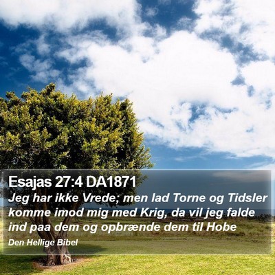 Esajas 27:4 DA1871 Bible Verse Image