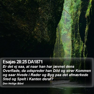 Esajas 28:25 DA1871 Bible Verse Image