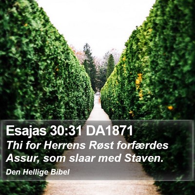 Esajas 30:31 DA1871 Bible Verse Image