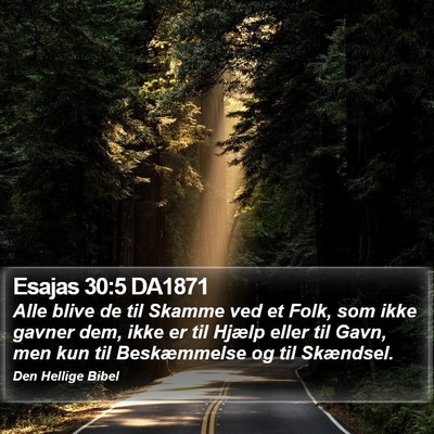 Esajas 30:5 DA1871 Bible Verse Image