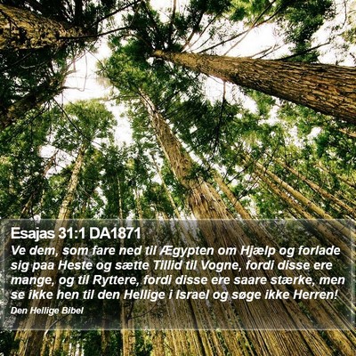 Esajas 31:1 DA1871 Bible Verse Image