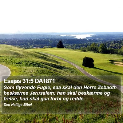 Esajas 31:5 DA1871 Bible Verse Image