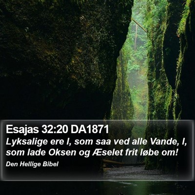 Esajas 32:20 DA1871 Bible Verse Image
