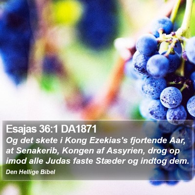 Esajas 36:1 DA1871 Bible Verse Image