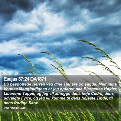 Esajas 37:24 DA1871 Bible Verse Image