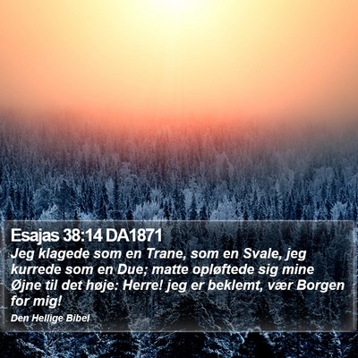 Esajas 38:14 DA1871 Bible Verse Image