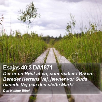 Esajas 40:3 DA1871 Bible Verse Image