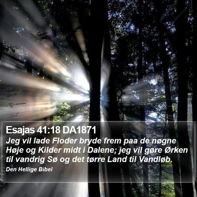 Esajas 41:18 DA1871 Bible Verse Image