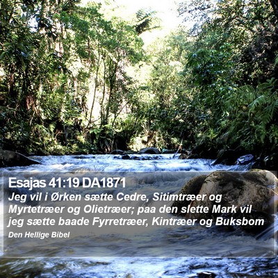 Esajas 41:19 DA1871 Bible Verse Image
