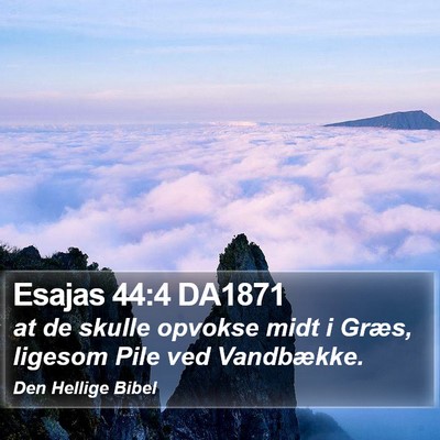 Esajas 44:4 DA1871 Bible Verse Image