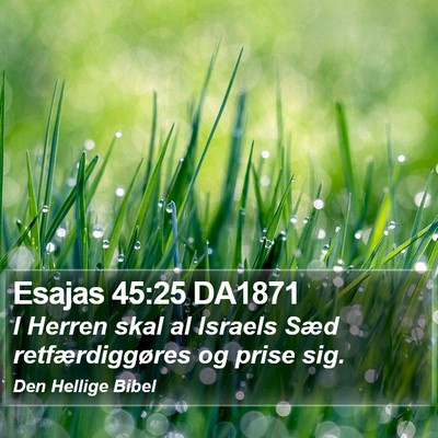 Esajas 45:25 DA1871 Bible Verse Image