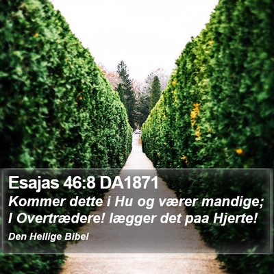 Esajas 46:8 DA1871 Bible Verse Image