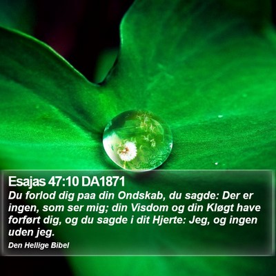 Esajas 47:10 DA1871 Bible Verse Image