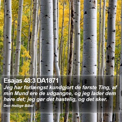Esajas 48:3 DA1871 Bible Verse Image