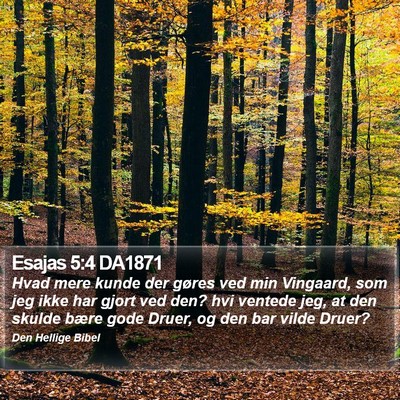Esajas 5:4 DA1871 Bible Verse Image