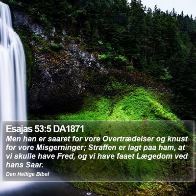 Esajas 53:5 DA1871 Bible Verse Image
