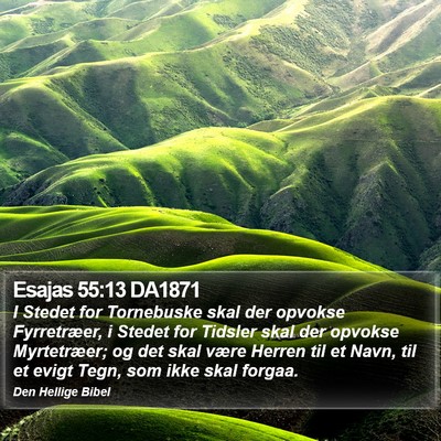 Esajas 55:13 DA1871 Bible Verse Image