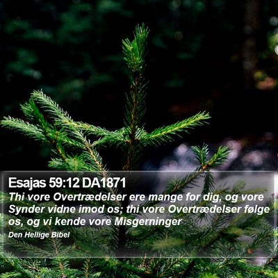 Esajas 59:12 DA1871 Bible Verse Image