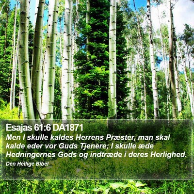 Esajas 61:6 DA1871 Bible Verse Image
