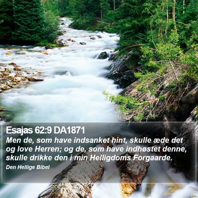 Esajas 62:9 DA1871 Bible Verse Image