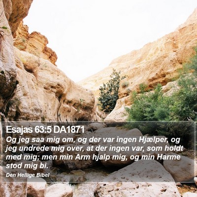 Esajas 63:5 DA1871 Bible Verse Image