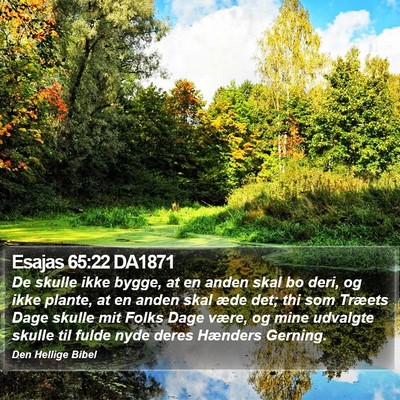 Esajas 65:22 DA1871 Bible Verse Image