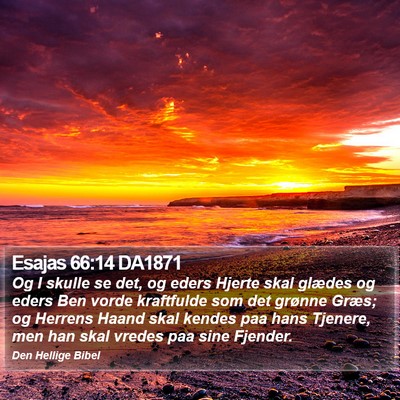 Esajas 66:14 DA1871 Bible Verse Image