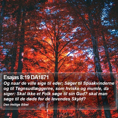 Esajas 8:19 DA1871 Bible Verse Image