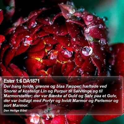 Ester 1:6 DA1871 Bible Verse Image