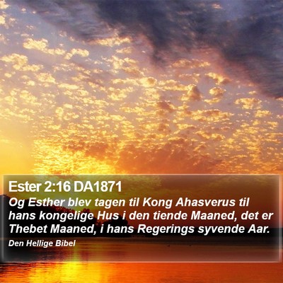 Ester 2:16 DA1871 Bible Verse Image