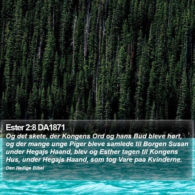 Ester 2:8 DA1871 Bible Verse Image