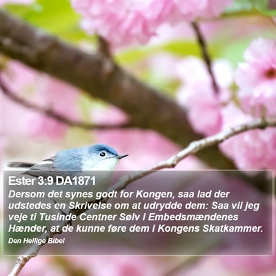 Ester 3:9 DA1871 Bible Verse Image