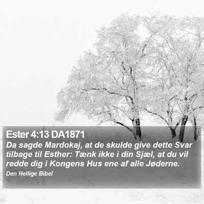Ester 4:13 DA1871 Bible Verse Image