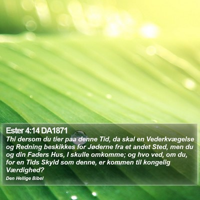 Ester 4:14 DA1871 Bible Verse Image