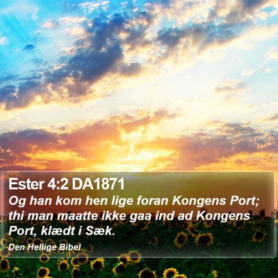 Ester 4:2 DA1871 Bible Verse Image