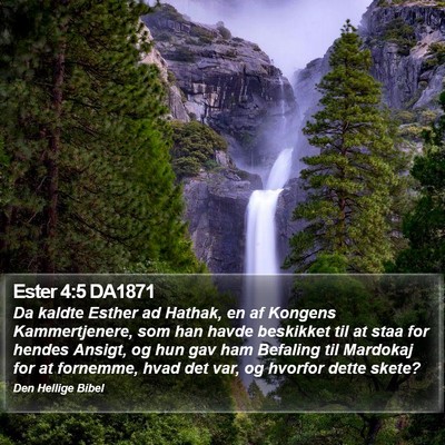 Ester 4:5 DA1871 Bible Verse Image