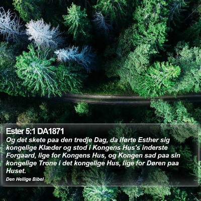 Ester 5:1 DA1871 Bible Verse Image