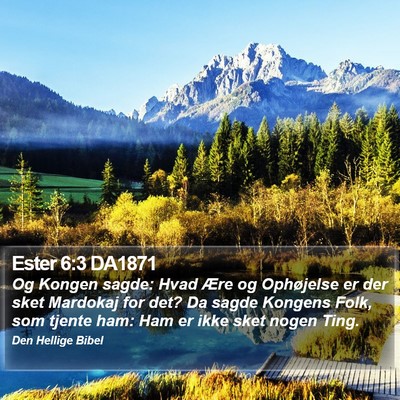 Ester 6:3 DA1871 Bible Verse Image