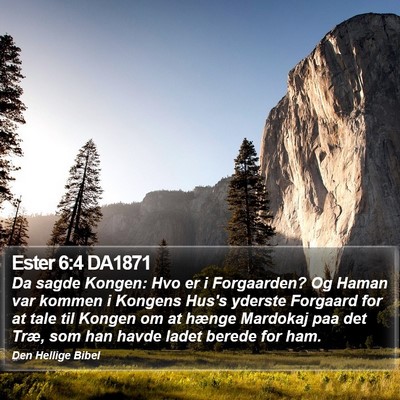 Ester 6:4 DA1871 Bible Verse Image