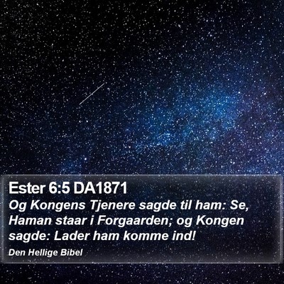 Ester 6:5 DA1871 Bible Verse Image